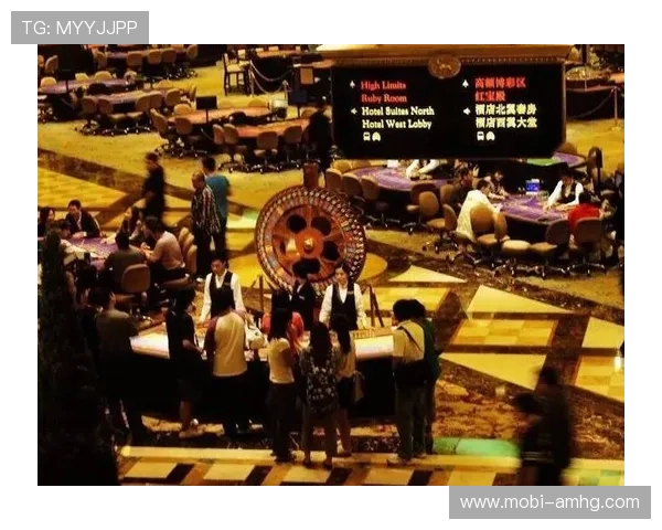 澳门娱乐体验中的高端赌场攻略与娱乐技巧全面解析，助你赢取更多奖赏