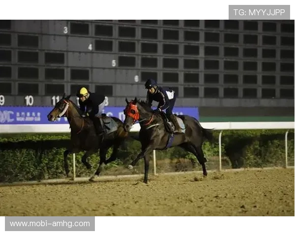 澳门赛马今天的比赛结果实时更新与赛后分析报告