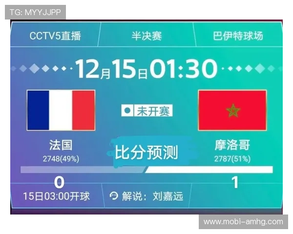 深入解读世界杯冠军竞猜规则及相关数据汇总提升你的竞猜准确率